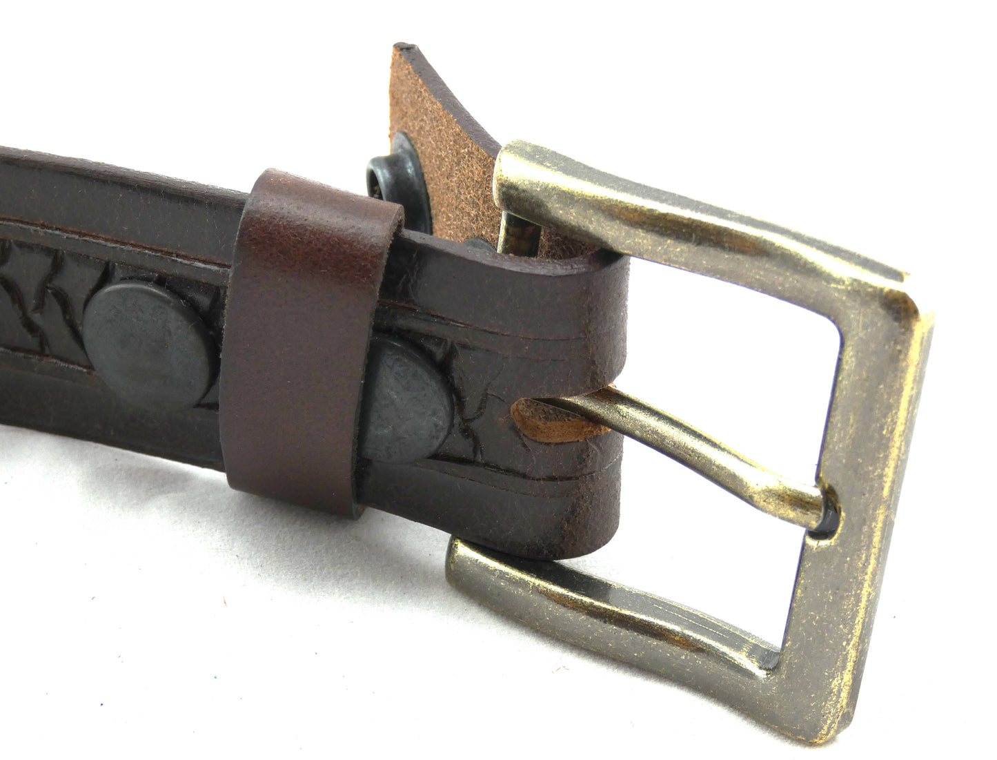 Belt - 35 mm Sharks tooth